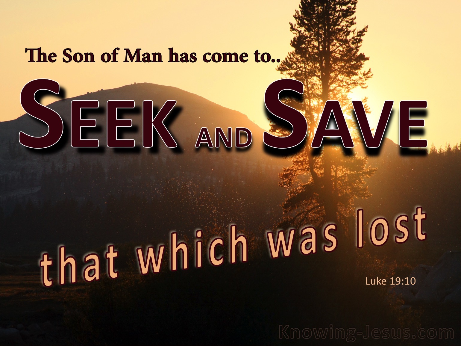 son-page-7-i-live-for-jesus